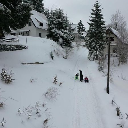 Vila Leni Kopaonik Luaran gambar